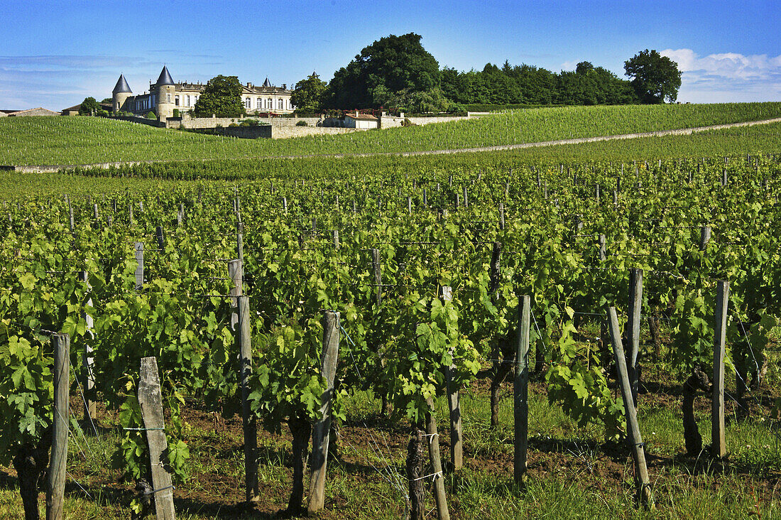 France. Gironde. ´Chateau Montagne´ surrounded by vine fields,  in the Bordeaux Saint Emilion wine district.