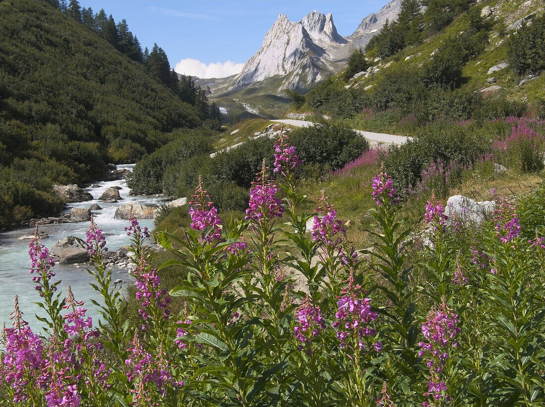 VAL VENY  COURMAYEUR   ITALIE