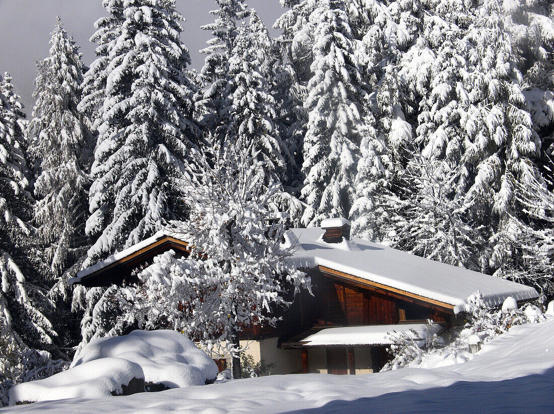 ARGENTIERE  CHAMONIX  HAUTE SAVOIE  FRANCE