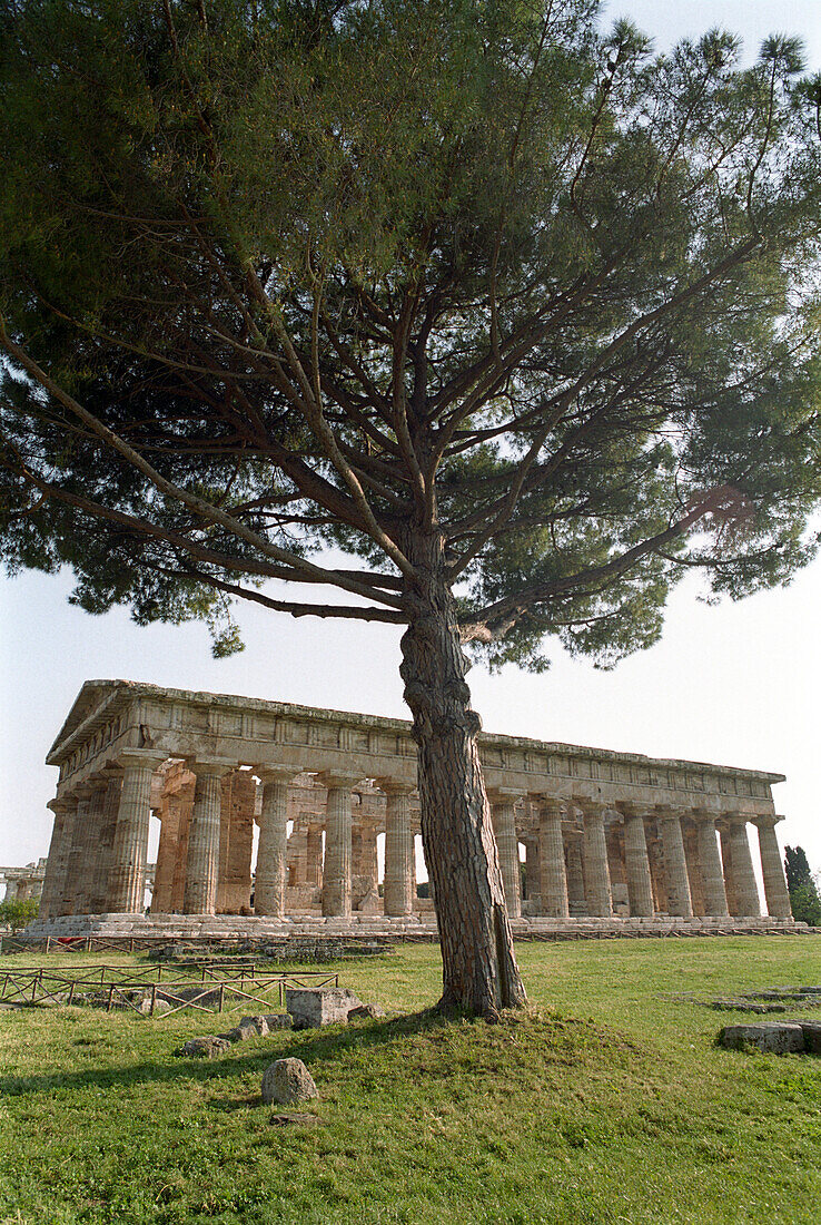 Temple of Hera, Archeological excavation in Paestum, Castellabate, Cilento, Italy