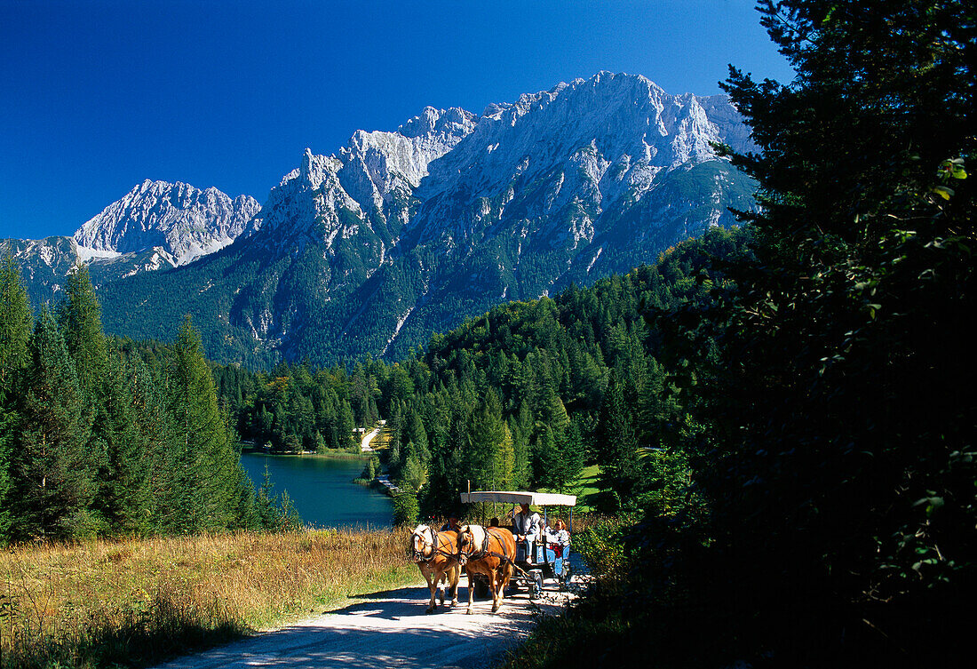 Horse-drawn carriage in the sunlight in front of lake Lautersee and Karwendel mountains, Bavaria, Germany, Europe