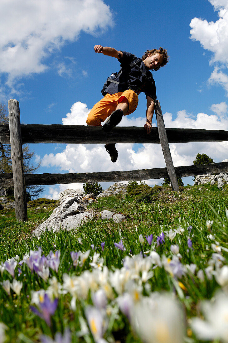 Young man jumping over a fence, Dolomites, South Tyrol, Italy, Europe