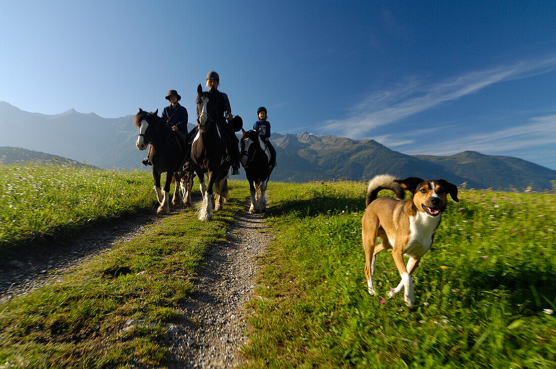 Reiter und ein Hund auf einem Weg auf dem Mieminger Plateau, Tirol, Österreich, Europa