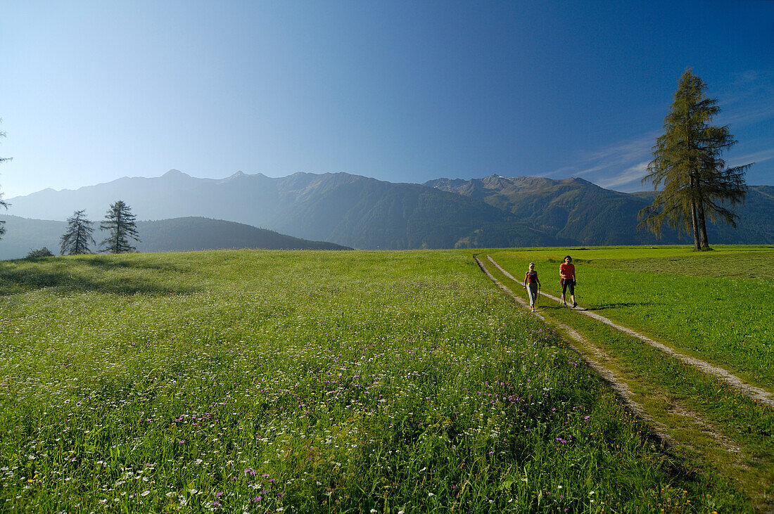 Ein Paar beim Nordic Walking in idyllischer Landschaft, Tirol, Österreich, Europa