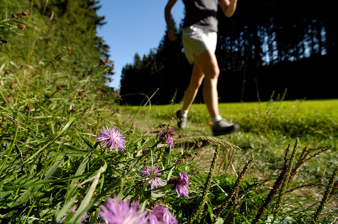 Woman jogging on a meadow in the sunlight, Franconian Switzerland, Bavaria, Germany, Europe