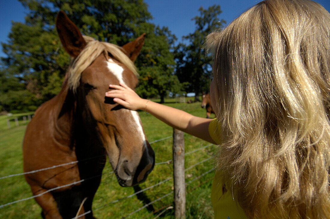 Girl stroking a horse, near Murnau, Upper Bavaria, Bavaria, Germany