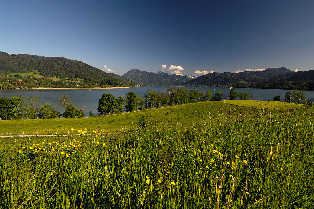 Landscape at Lake Tegernsee, Upper Bavaria, Bavaria, Germany
