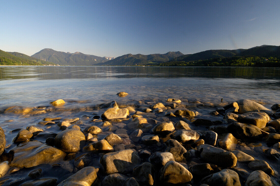 Lake shore at Lake Tegernsee, Upper Bavaria, Bavaria, Germany