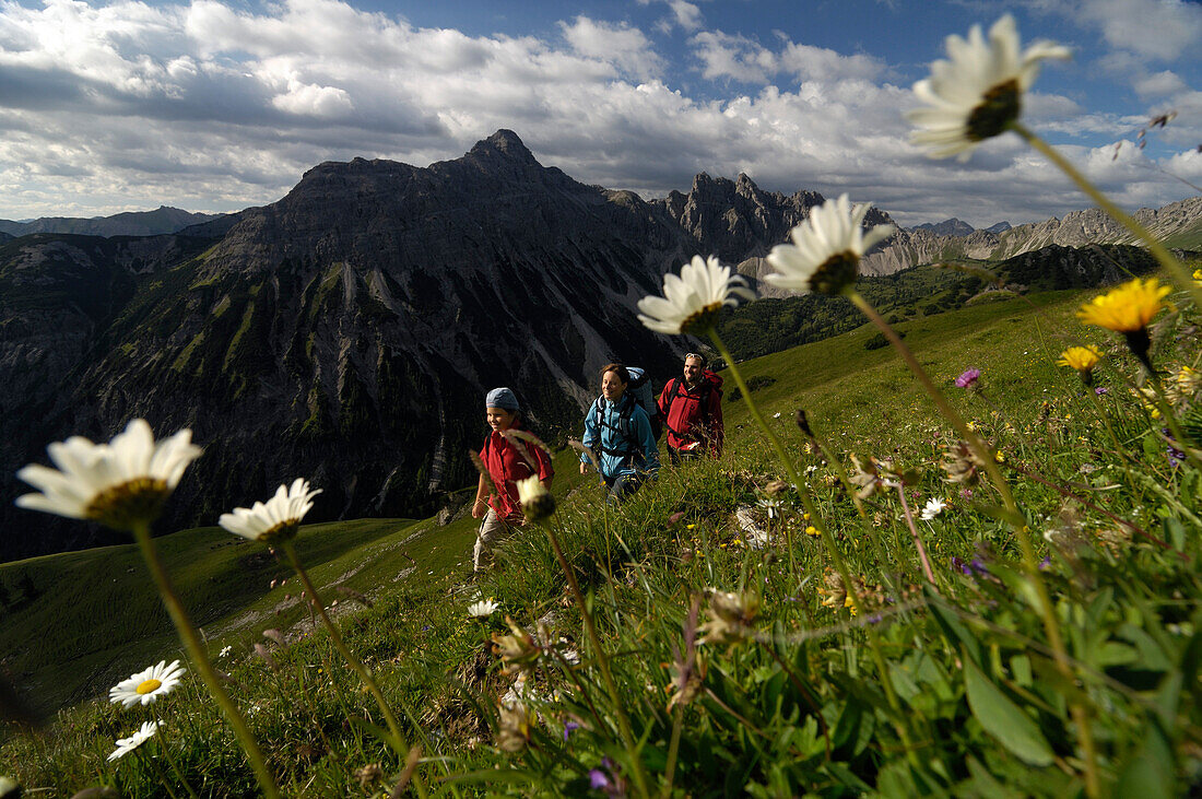 Family hiking in the mountains, Tannheimer Mountains, Allgaeu Alps, Tirol, Austria, Europe