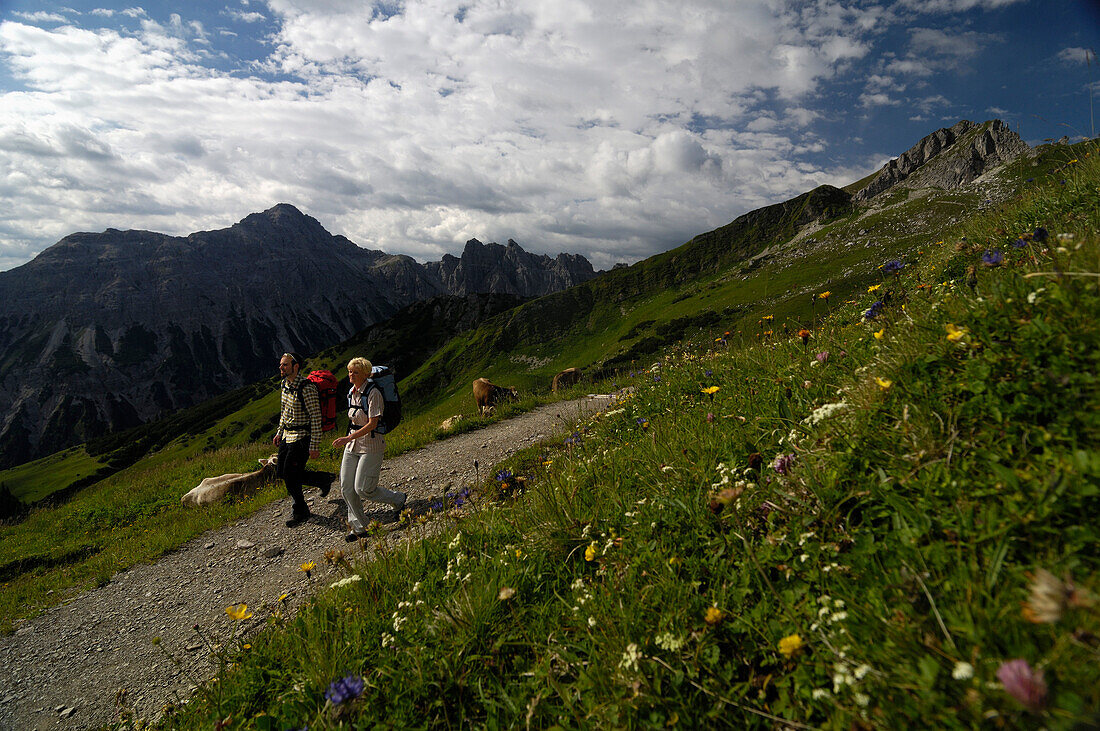 Paar beim Wandern, Bergwanderung, Tannheimer Bergen, Allgäuer Alpen, Tirol, Österreich, Europa