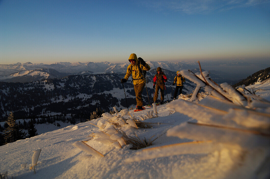 Women on a ski tour at Hochgrat, Allgäu Alps, Bavaria, Germany, Europe