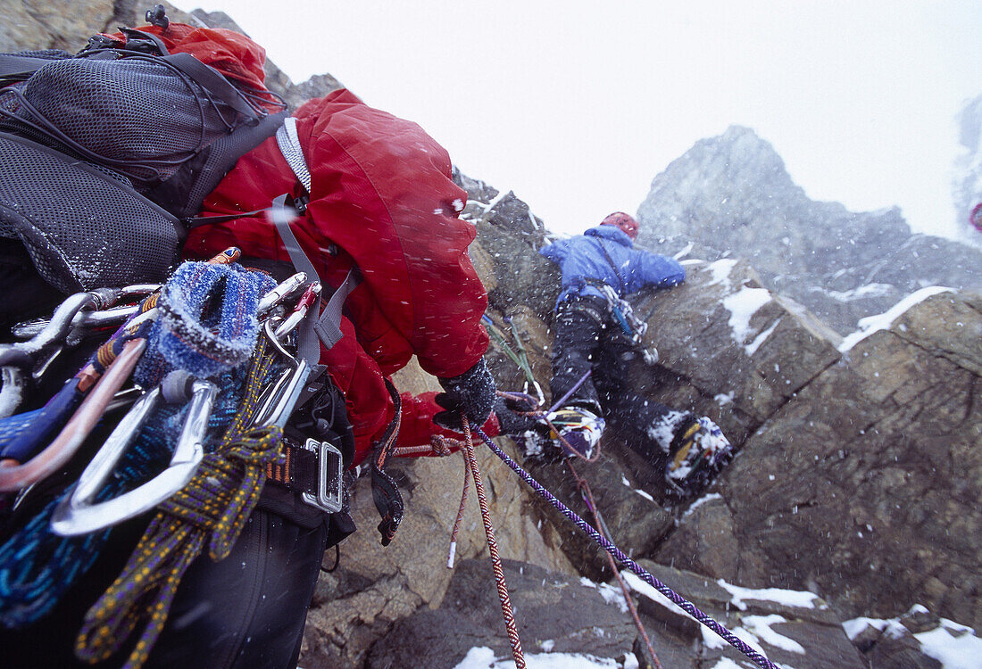 Bergsteiger in einer Felswand, Bernina Gruppe, Engadin, Graubünden, Schweiz