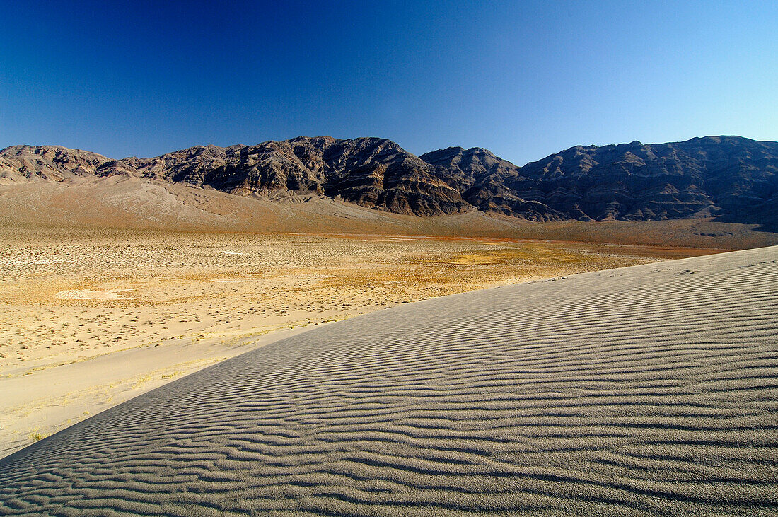 Sand dunes under blue sky, Death Valley, California, North America, America