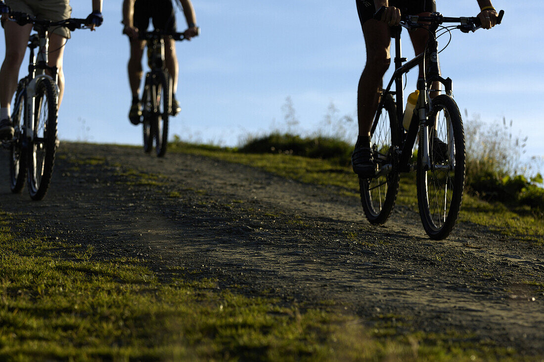 Mountainbiker im Gelände, Hall in Tirol, Tirol, Österreich