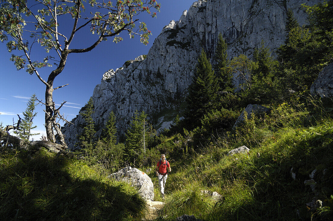Mann beim Bergwandern am Wendelstein, Mangfallgebirge, Bayern, Deutschland
