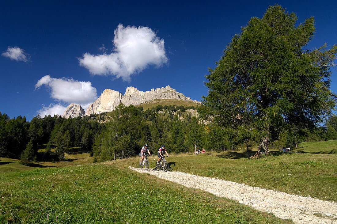 Young couple riding mountain bikes under blue sky, South Tyrol, Italy, Europe