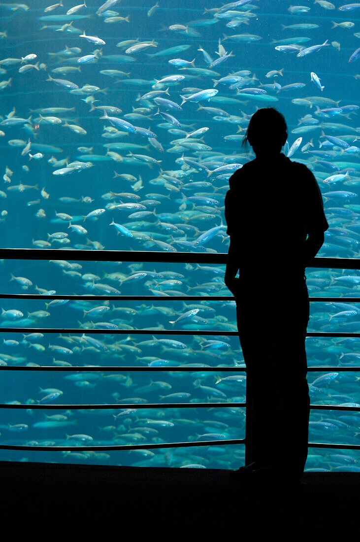 Young woman in front of aquarium full of fish, Tenerife, Canary Islands, Spain, Europe