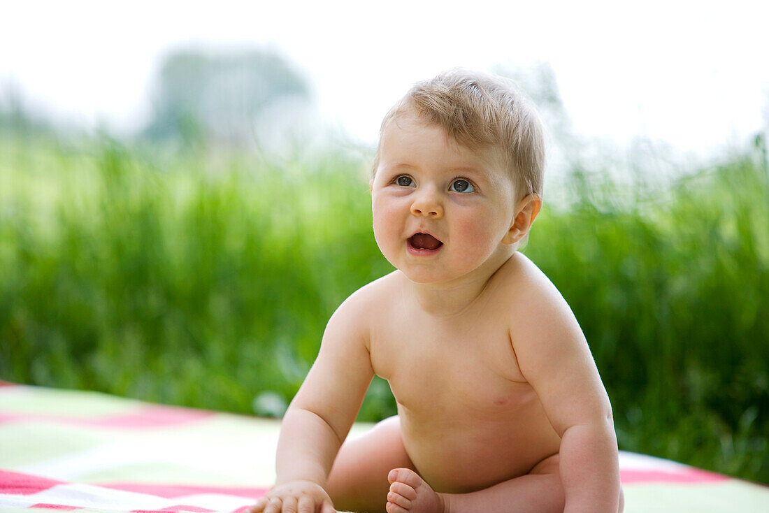 Naked Baby On Blanket 9 Months License Image 70252187 Lookphotos