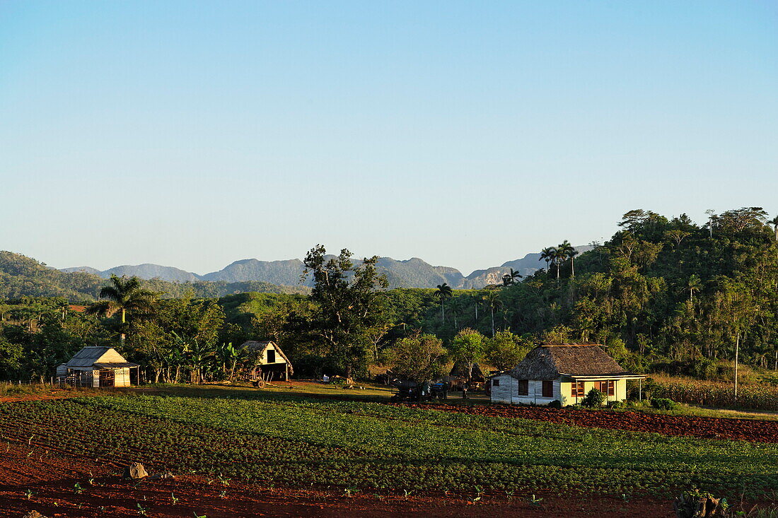 Farm, Minas de Matahambre, Pinar Del Rio, Cuba, West Indies