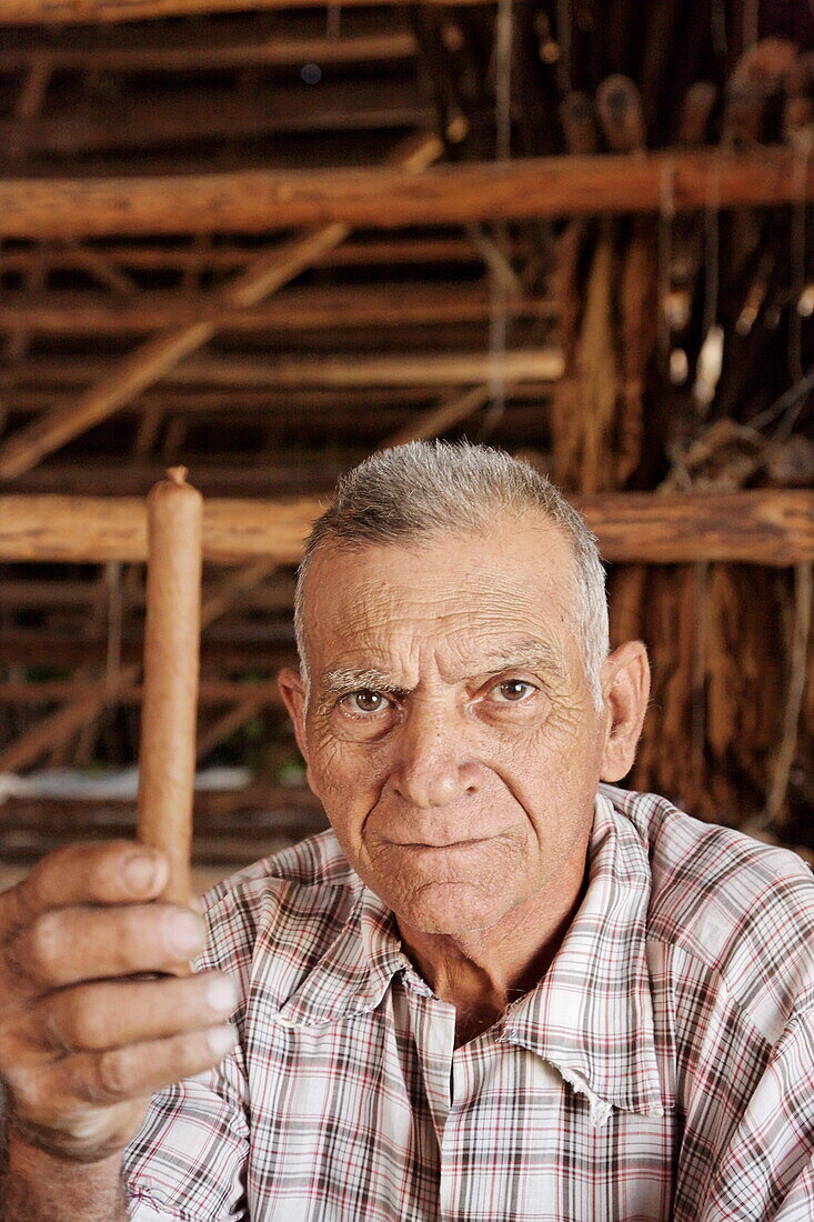Alter Mann zeigt eine Zigarre, Alejandro Robaina Tabakfarm, Pinar del Rio, Kuba