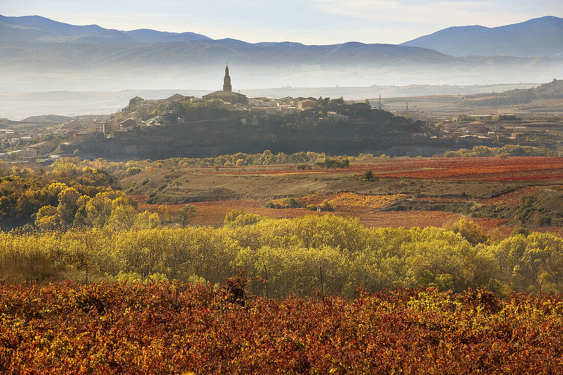 Vineyards near San Vicente de la Sonsierra and Briones in background,  La Rioja,  Spain