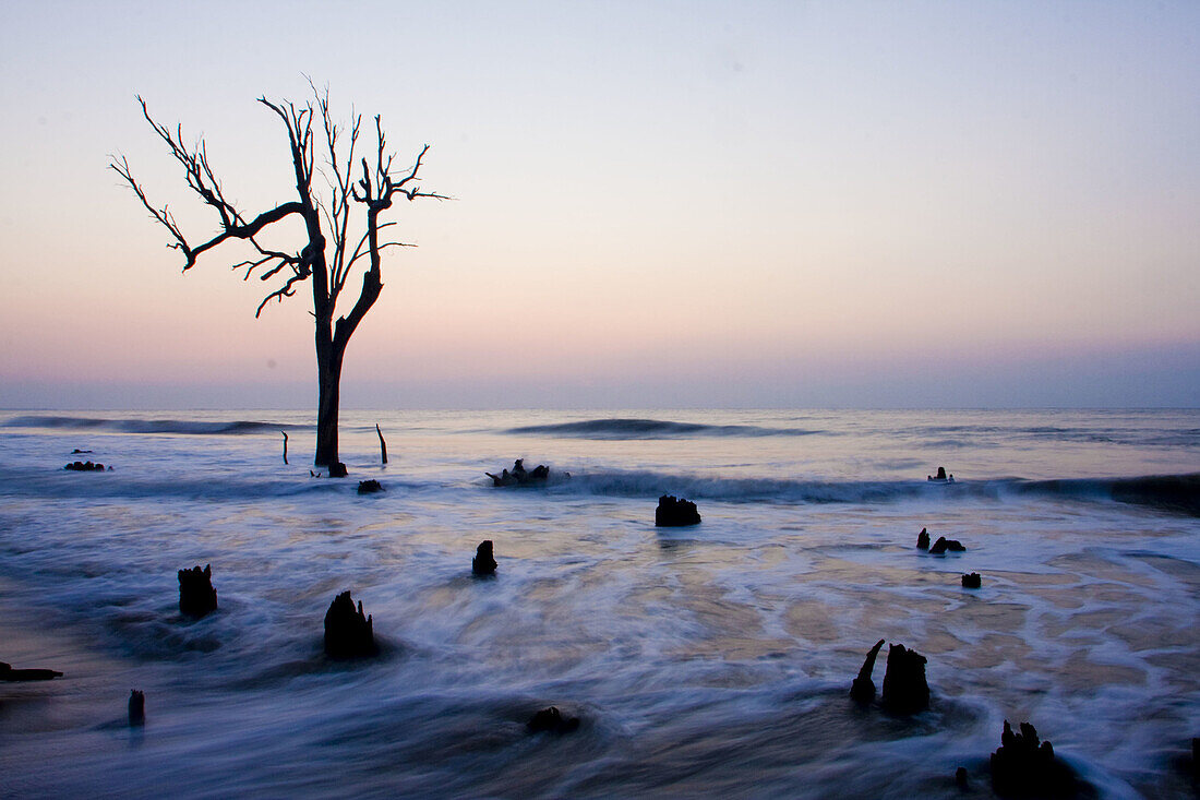 Color, Colour, Course, Deadfall, Driftwood, Erosion, Nature, Natures, Oceans, Preservation, Summer, Sunrise, A06-826149, agefotostock 