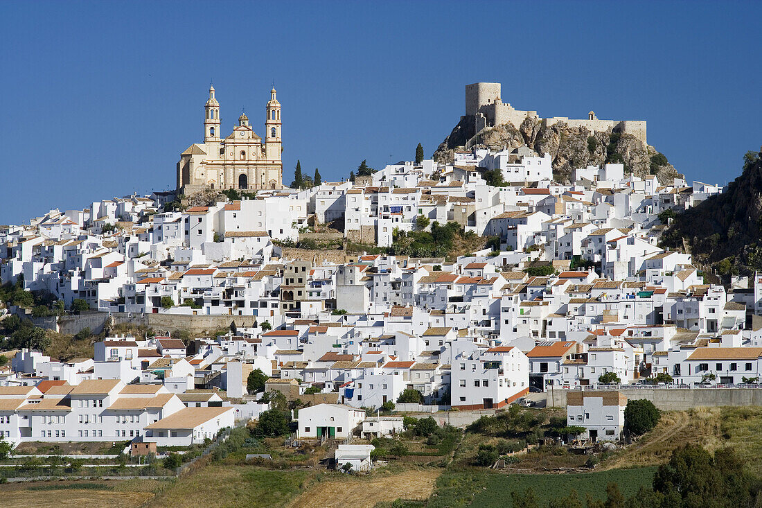 Nuestra Señora de la Encarnacion church and castle, Olvera. Cadiz province, Andalucia, Spain