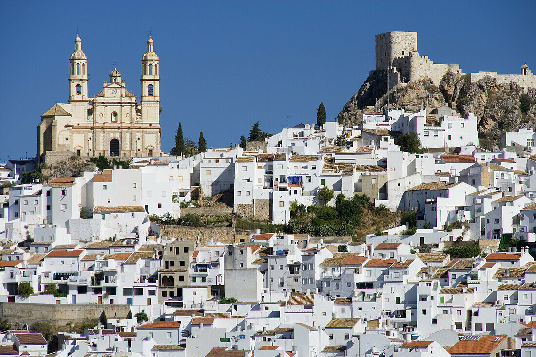 Nuestra Señora de la Encarnacion church and castle, Olvera. Cadiz province, Andalucia, Spain