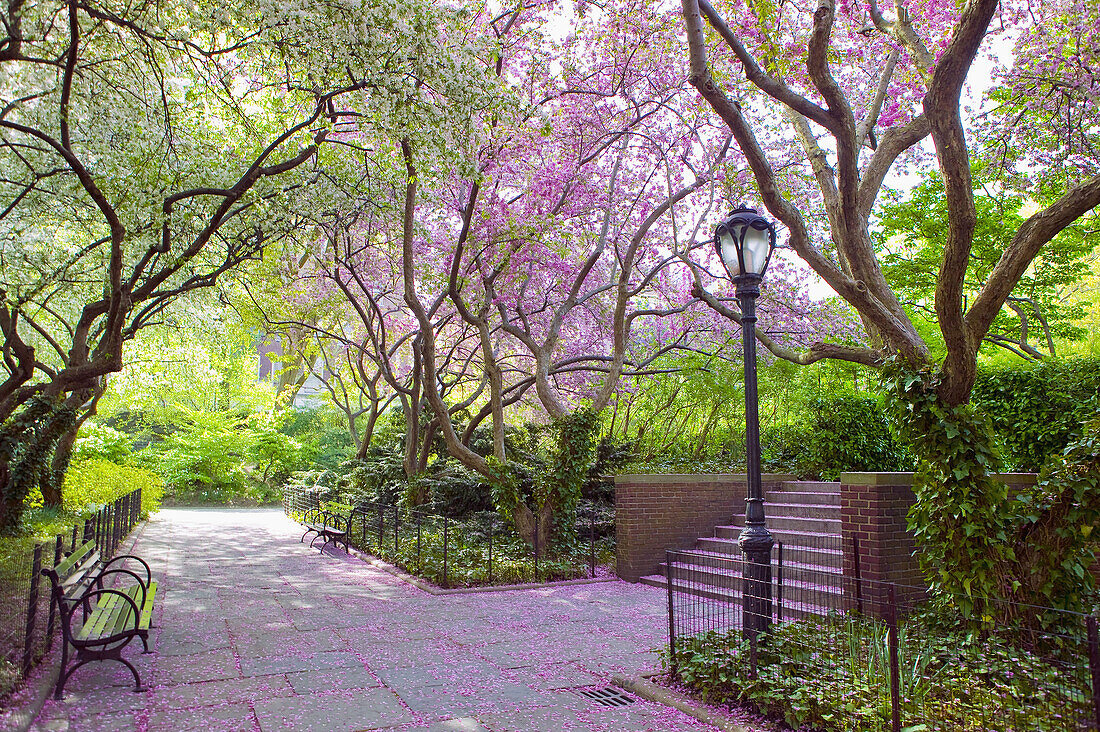 Conservatory Garden Central Park