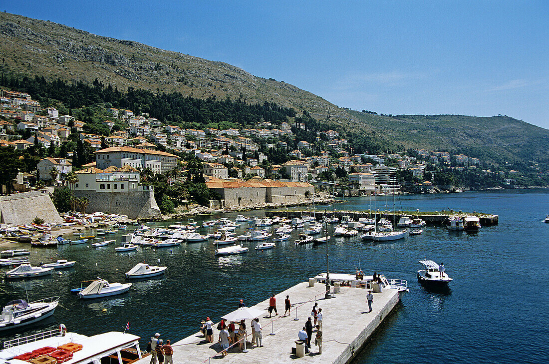 Old city port from old city walls, general view, Dubrovnik, Dalmatian Coast, Croatia, Former Yugoslavia