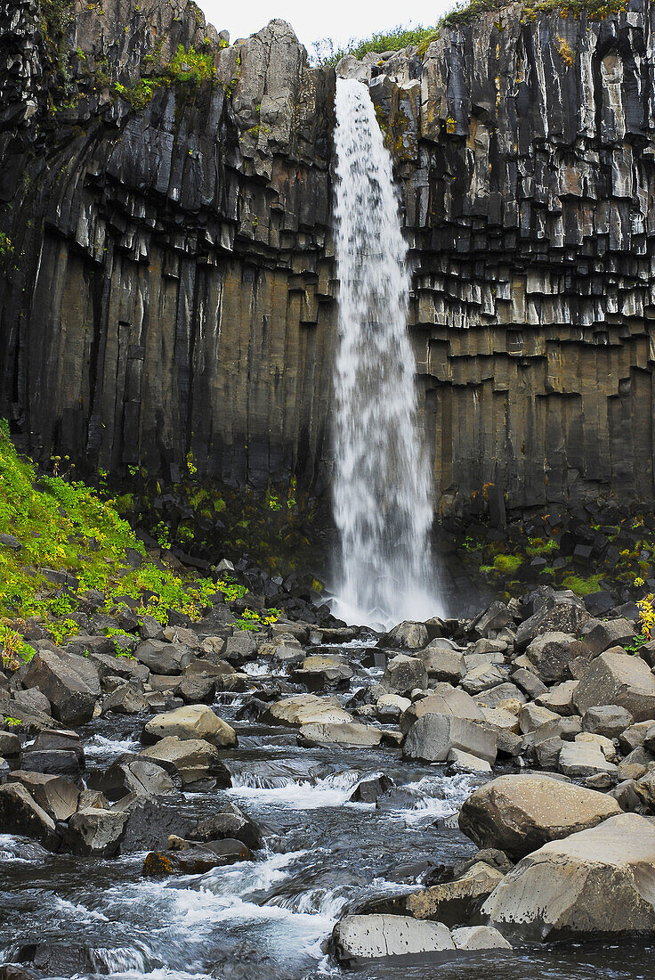 The famous waterfall Svartifoss in the nature reserve Skaftafell with his basaltic column, Iceland