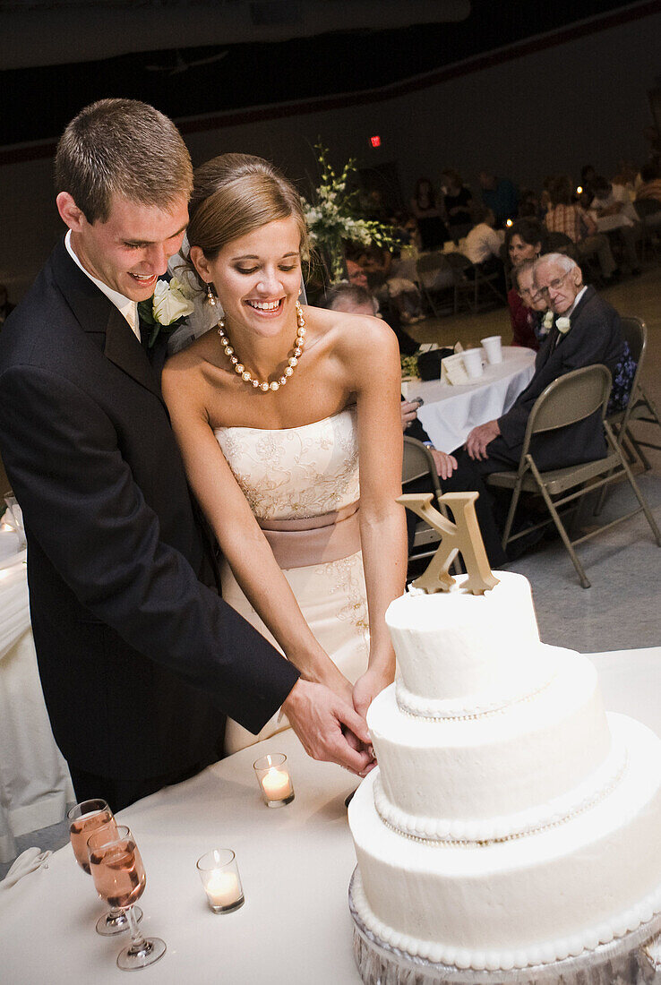 bride and groom cutting the cake