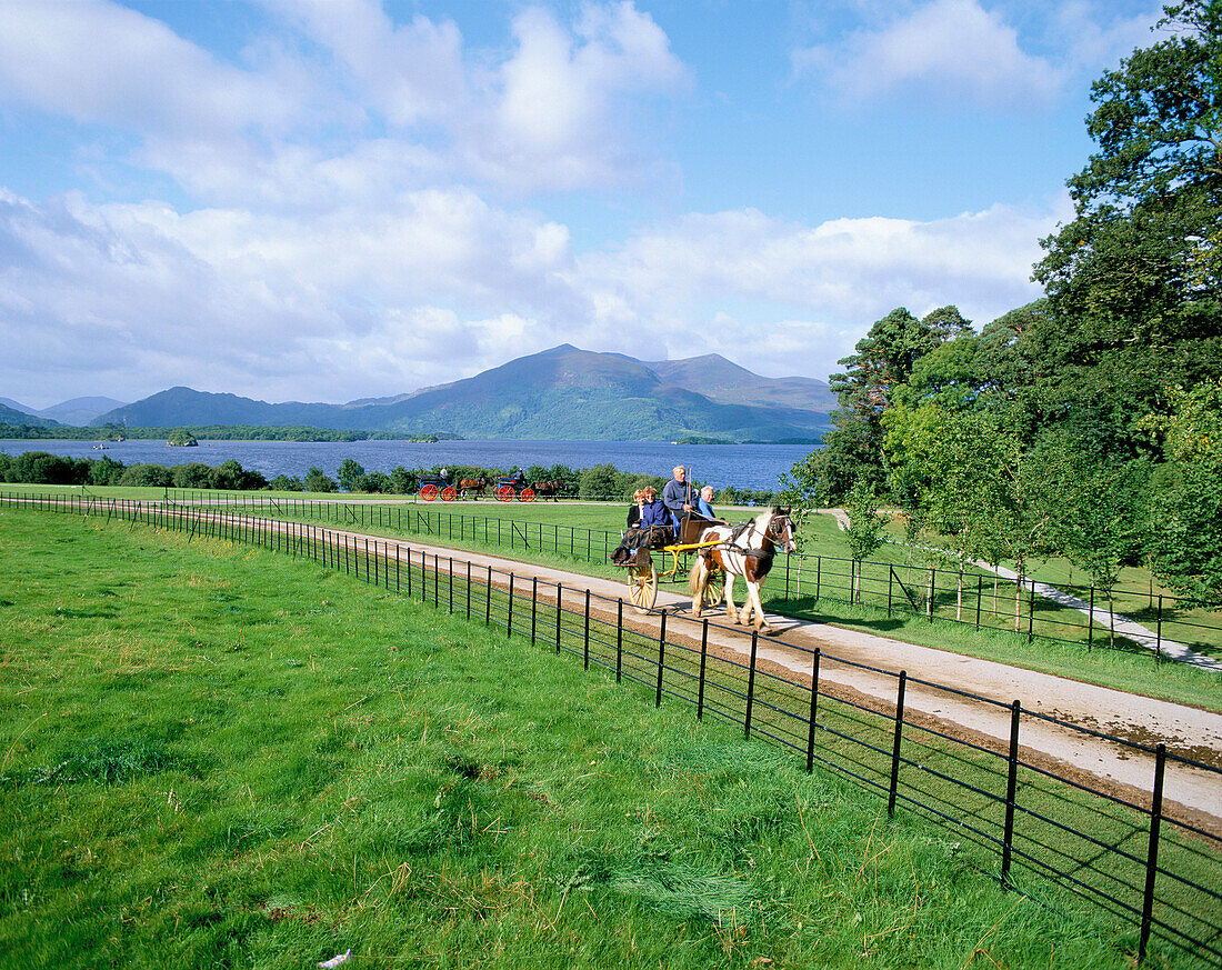 Jaunting Carts, Muckross House, County Kerry, Ireland