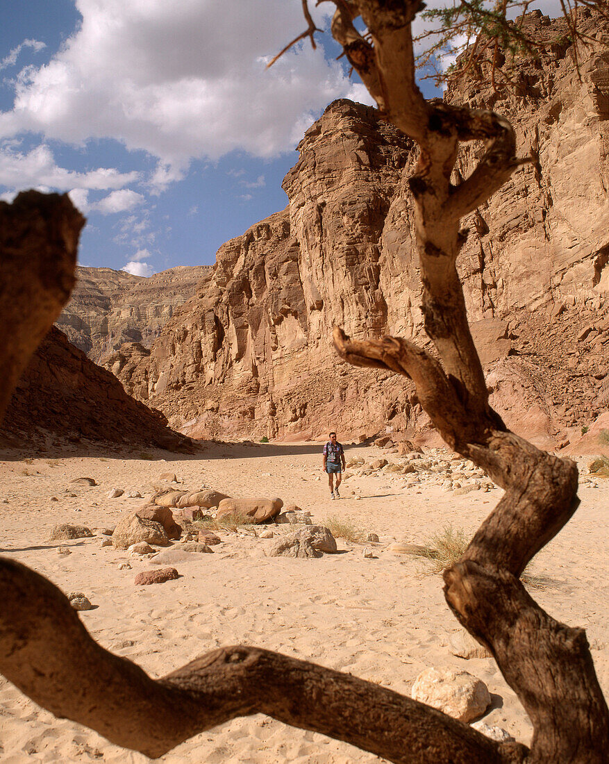 The Coloured Canyon, Sinai, Egypt