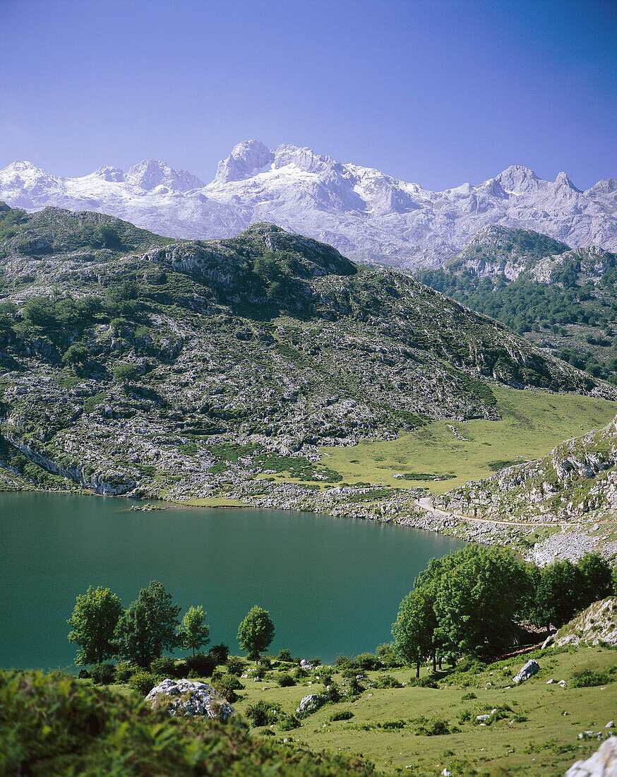 Picos De Europa, Cavadonga National Park, Asturias, Spain