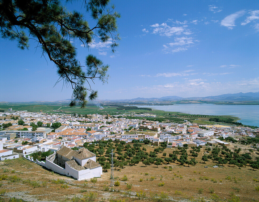 View of Town, Bornos, Andalucia, Spain