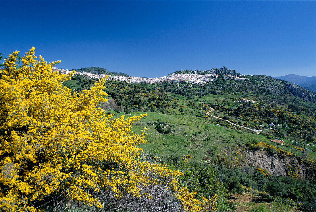 View to White Village, Gaucin, Andalucia, Spain