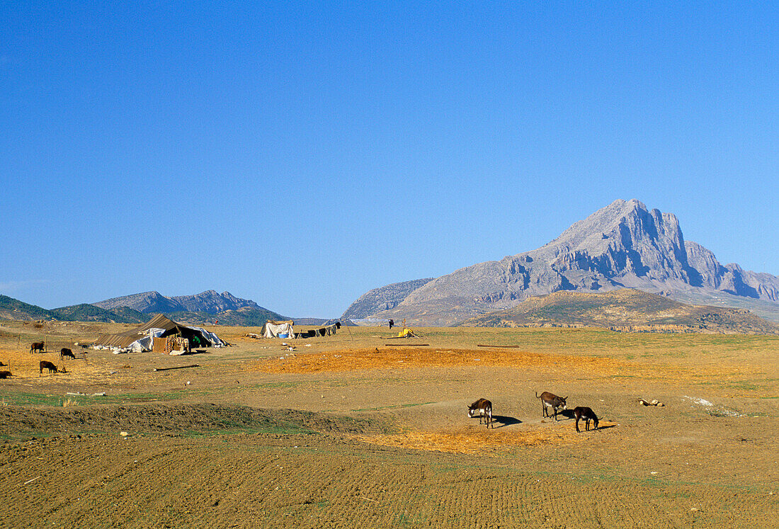 Djebel Zaghouan, Zaghouan, Tunis, Tunisia