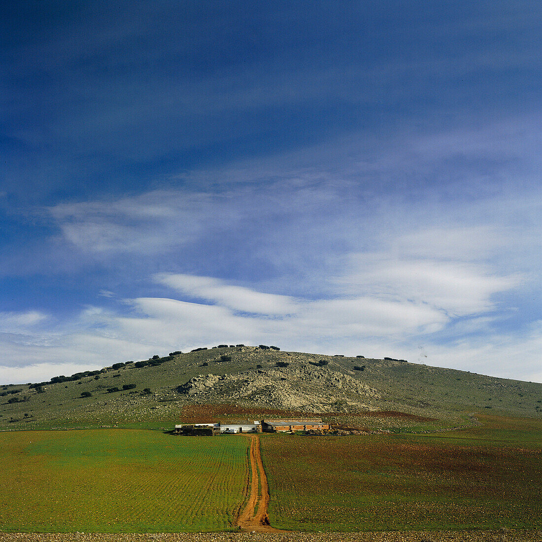Landscape with Farm, Nr. Granatula De Calatrava, Castilla-La Mancha, Spain