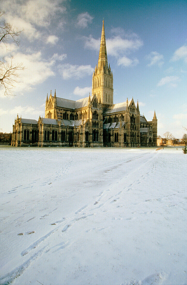 Cathedral from the Close, Salisbury, Wiltshire, UK, England