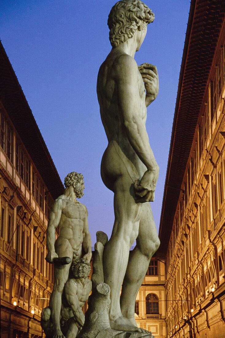 Replica of Michelangelo's David, Florence, Tuscany, Italy