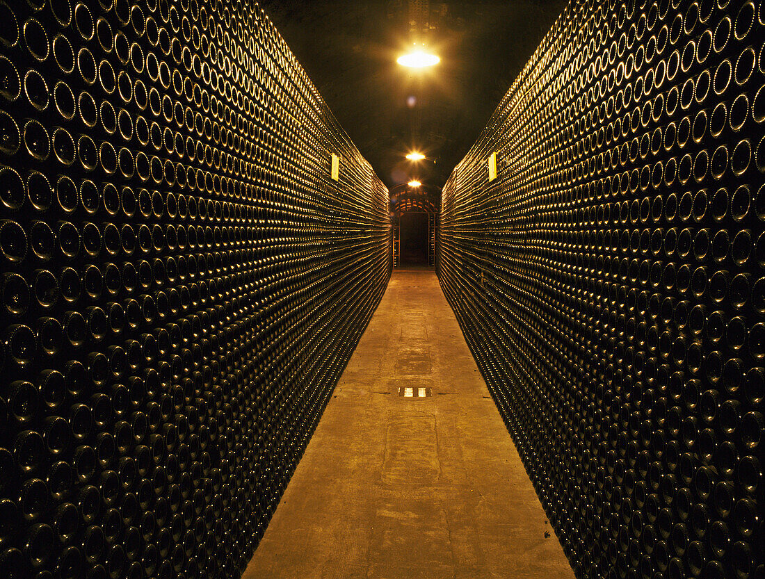 Cava Cellars, Penedes, Catalunya, Spain