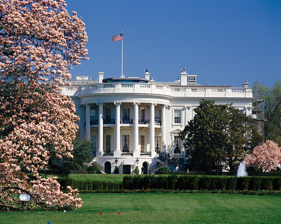 The Whitehouse, Washington DC, District of Columbia, USA