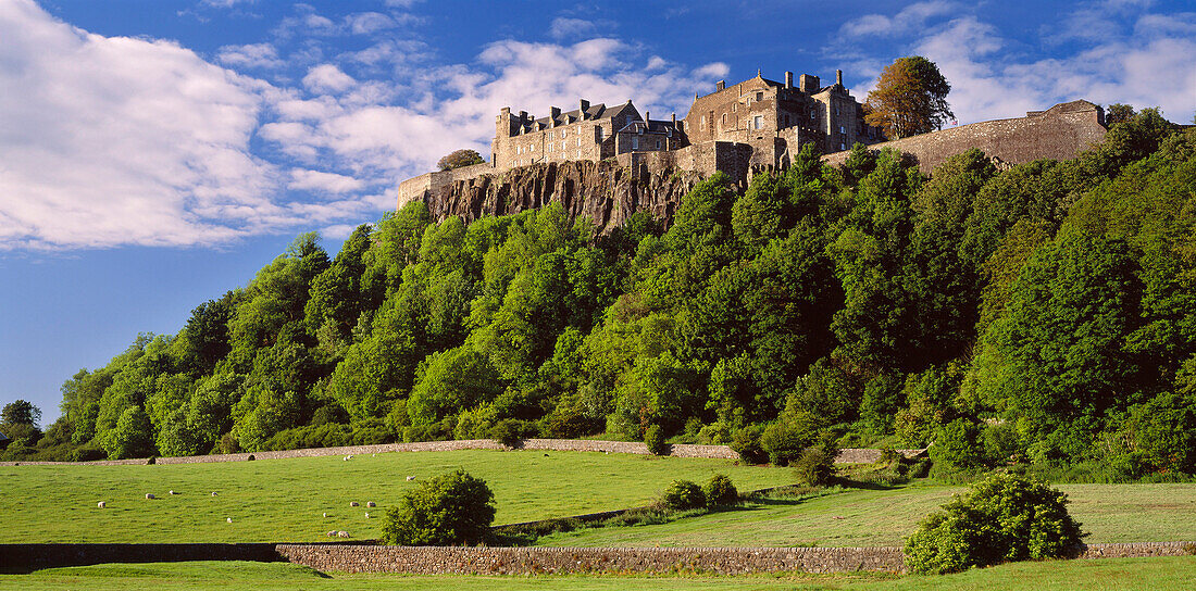 Stirling Castle, Stirling, Central, UK, Scotland