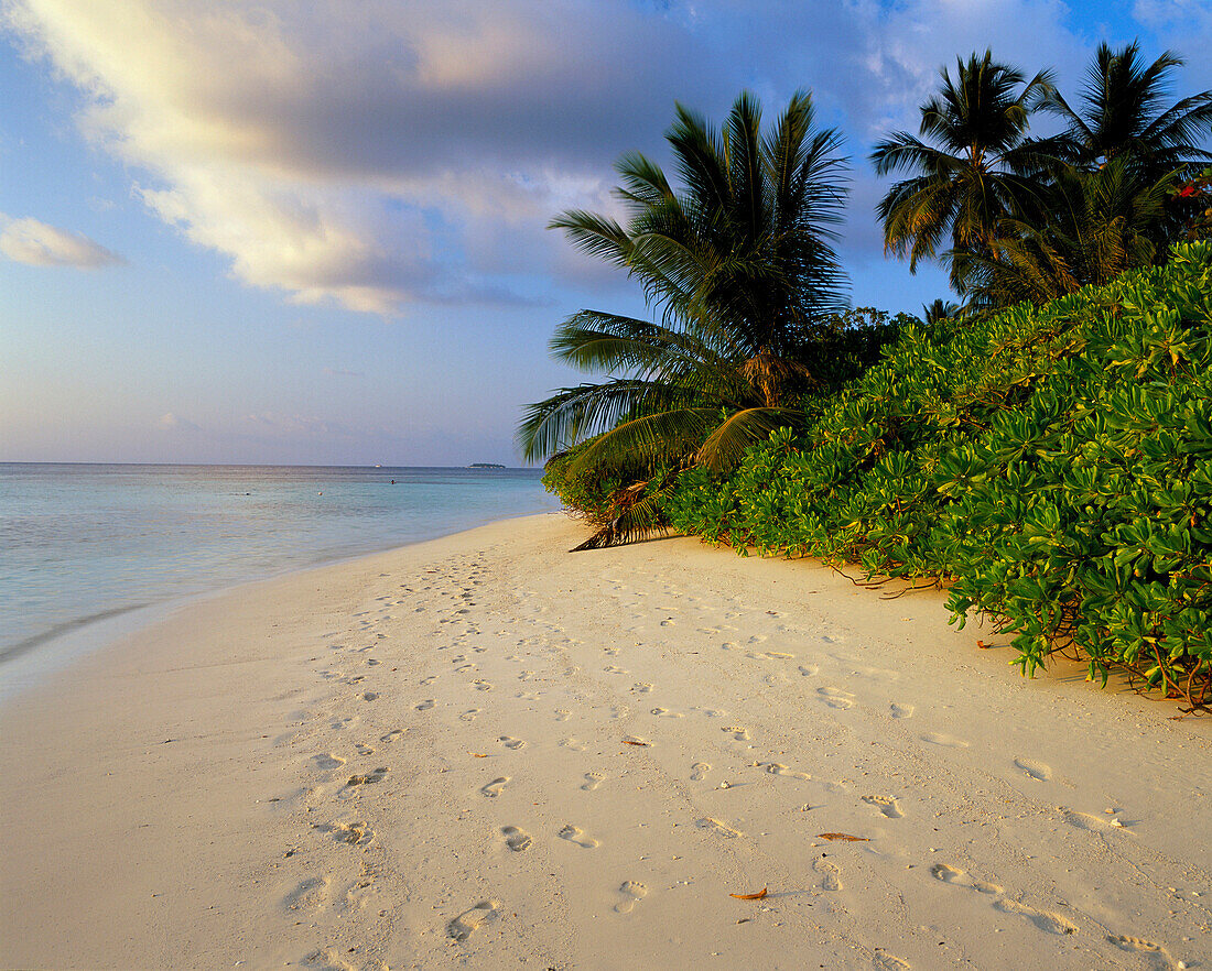 Beach View, Bandos Island, North Male Atol, The Maldives