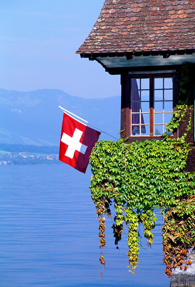 View of Lake & Boathouse, Lake Thun, Bern Canton, Switzerland