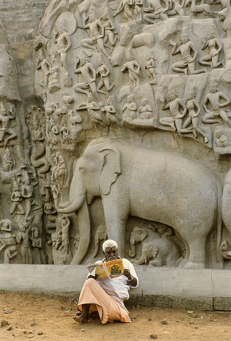 OLD MAN AND GIANT OPEN AIR BAS RELIEF REPRESENTING THE DESENT OF THE GANGES, MAMALLAPURAM MAHABALIPURAM, TAMIL NADU, INDIA