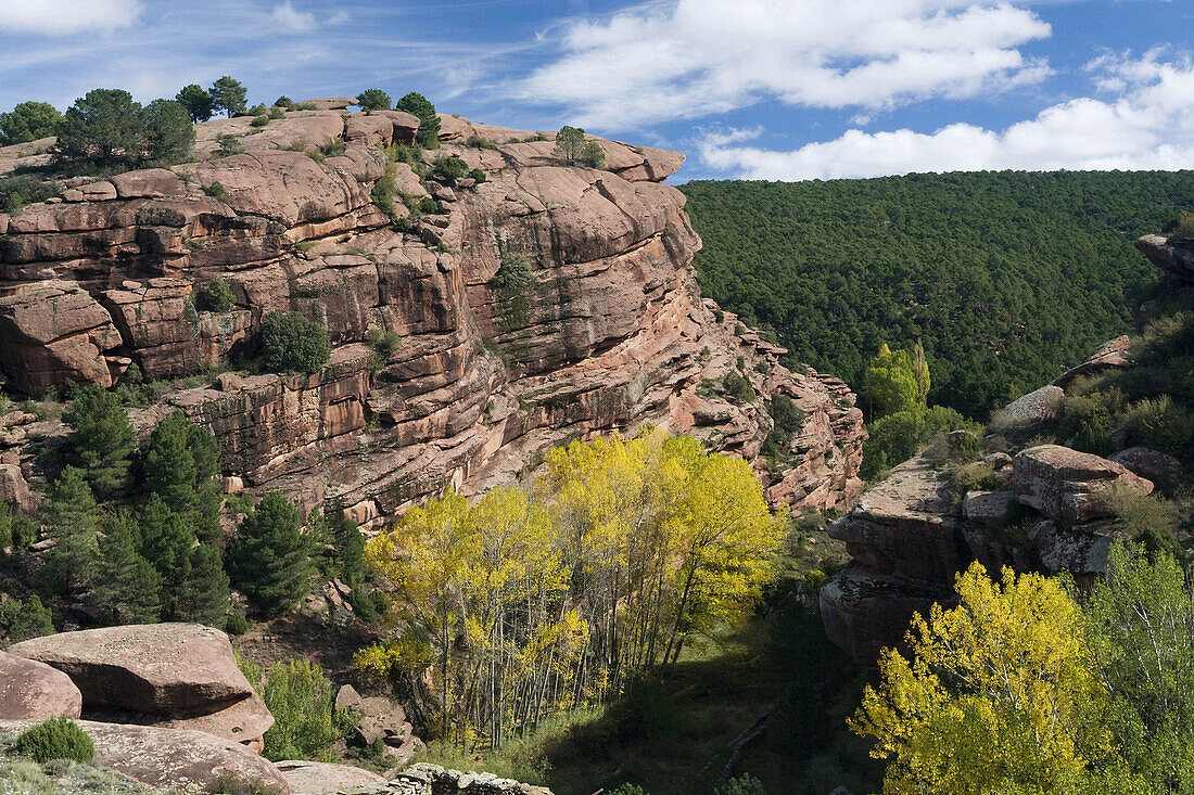 Pinares de rodeno protected landscape, Albarracin sierra, Teruel province, Aragon, Spain
