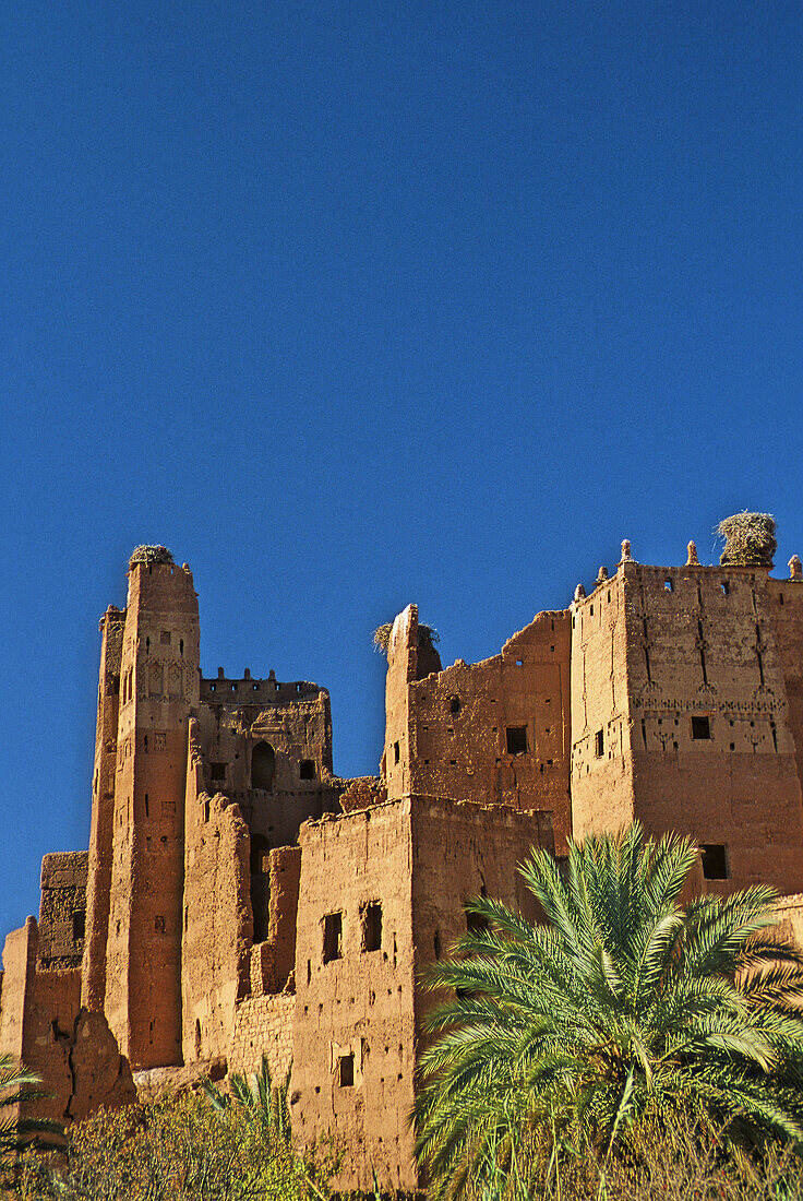 Morocco, near Quarzazate, Glaoui Kasbah at Tamdagt