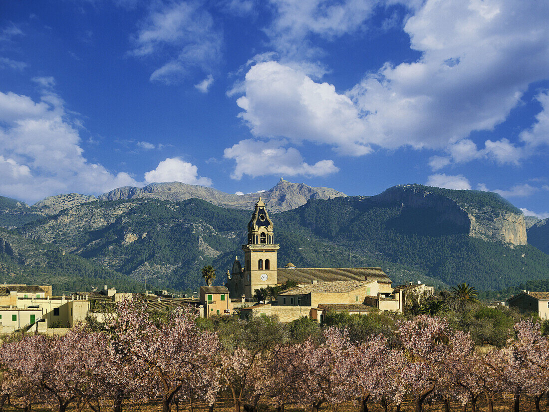 Santa Maria del Cami, background Tramuntana Mountains, Majorca, Balearic Islands, Spain